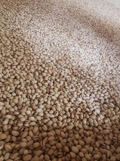 عکس بازرگانی میوه برادران زارعی (کاشمر)