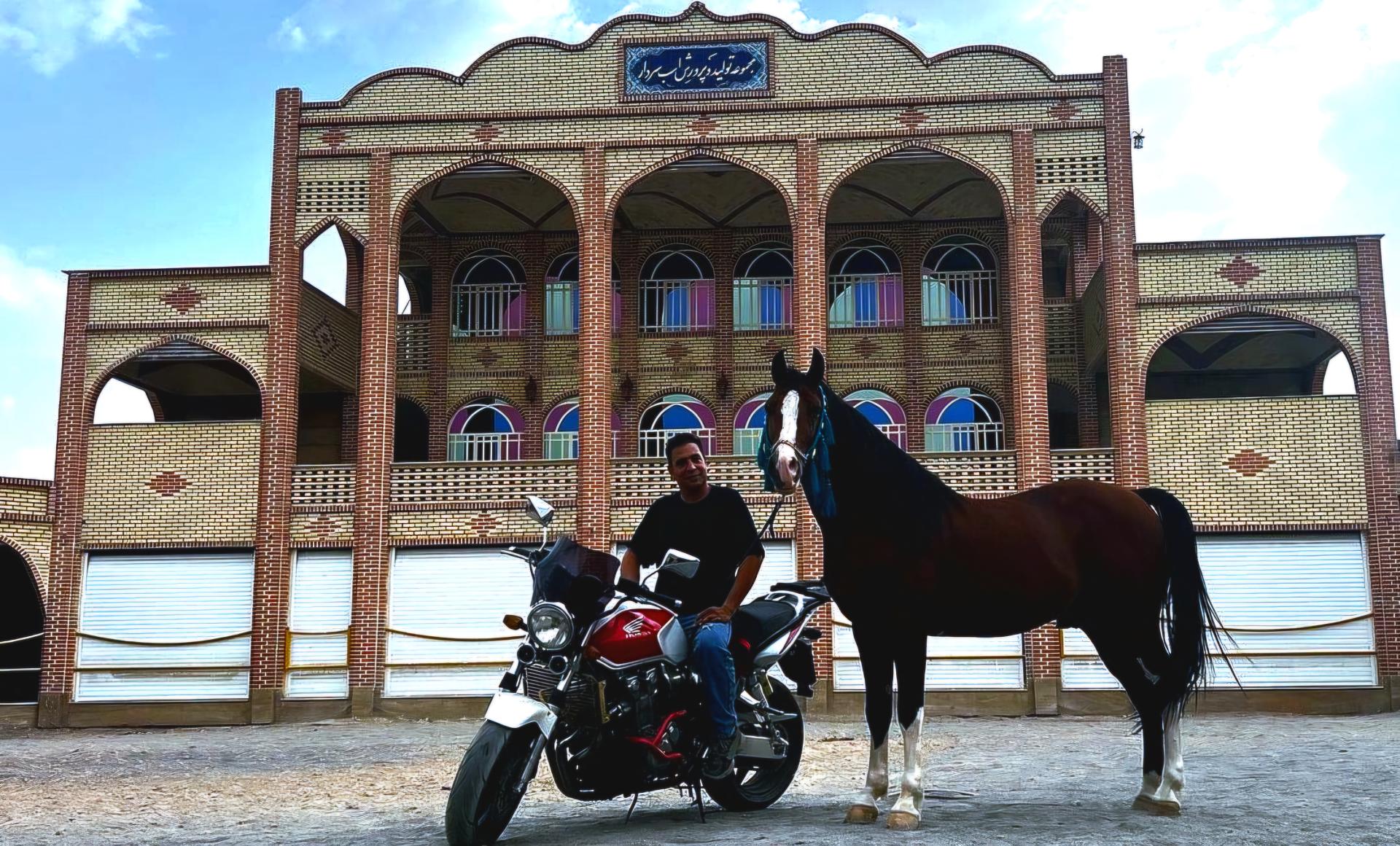 عکس مجموعه تولید و پرورش اسب سردار