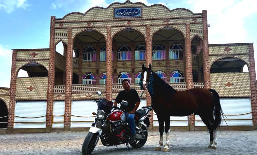 مجموعه تولید و پرورش اسب سردار