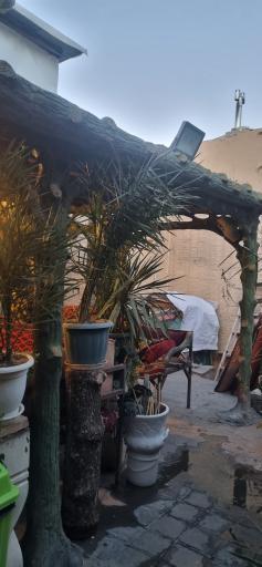 عکس سفره خانه یاد ایام