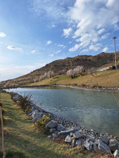 عکس آرامگاه میر رضی الدین آرتیمانی