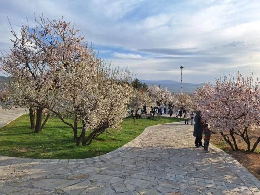 عکس آرامگاه میر رضی الدین آرتیمانی