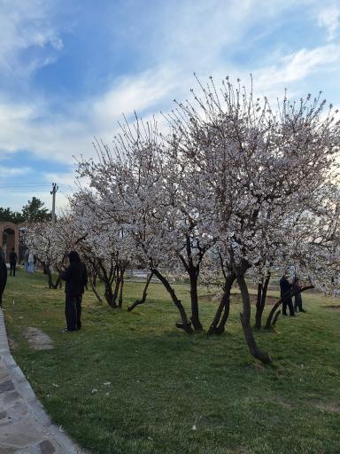 عکس آرامگاه میر رضی الدین آرتیمانی