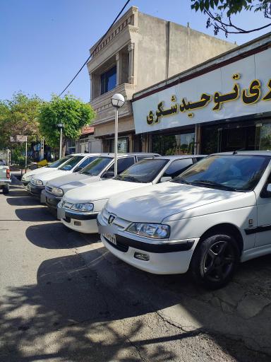 عکس اتوگالری توحید شکری