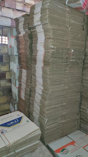 عکس کارتن فروشی اعتمادی