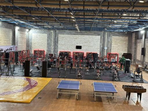 عکس آکادمی بدنسازی فردین