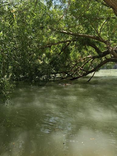 عکس پارک ساحلی ملک آباد