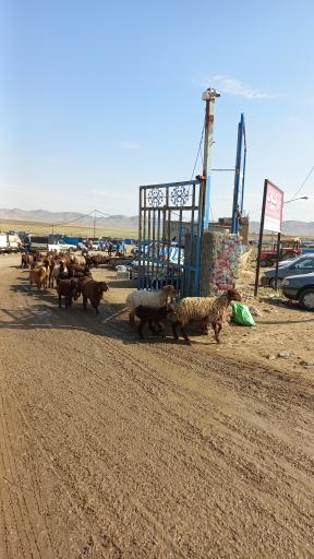 عکس مال بازاری قوچان