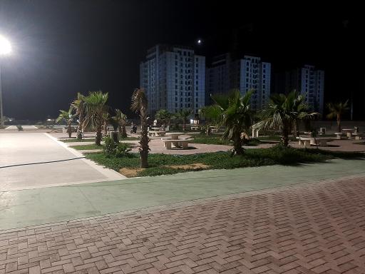 عکس بوستان رز