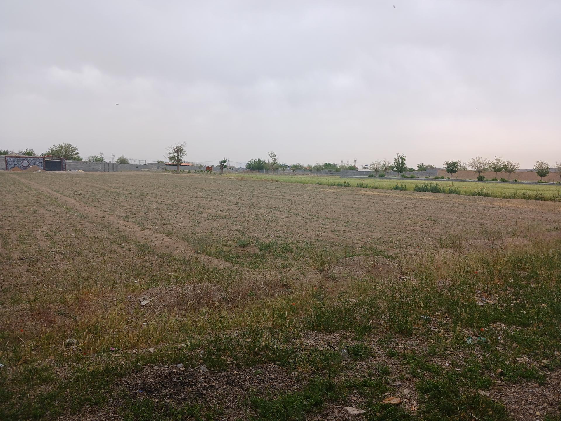 عکس دشت کشاورزی جهاد آباد 