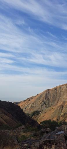 عکس بند یخچال