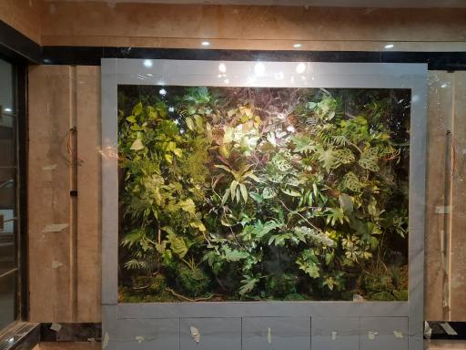 عکس مجتمع آساک 