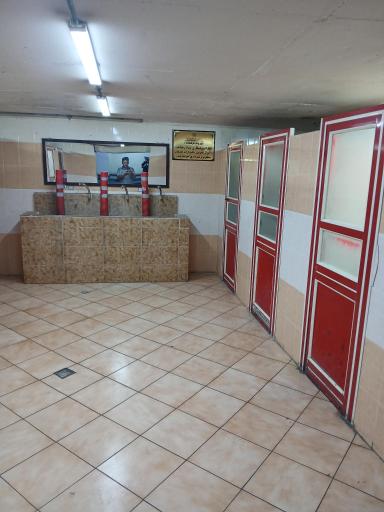 سرویس بهداشتی