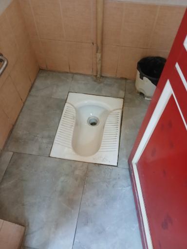 سرویس بهداشتی