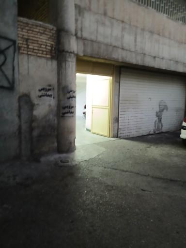 سرویس بهداشتی