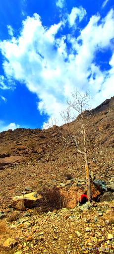 عکس بند یخچال