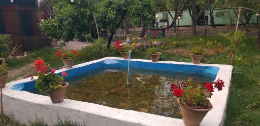 عکس مجموعه گل و گیاه هستی
