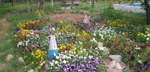 عکس مجموعه گل و گیاه هستی
