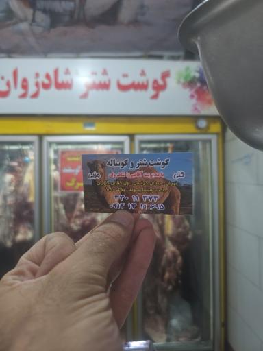 عکس قصابی آقا میرزا (گوشت شتر ، گوسفند )