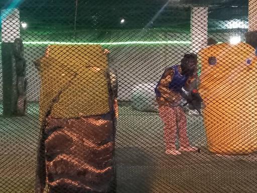 عکس باشگاه ورزشی ستارگان شرق