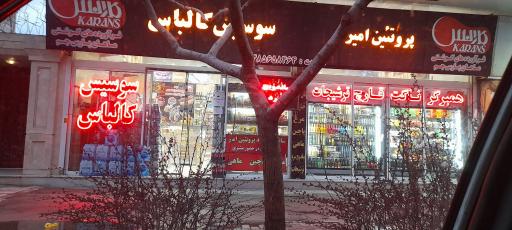 عکس پروتئین امیر