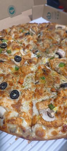 عکس پیتزا آلما