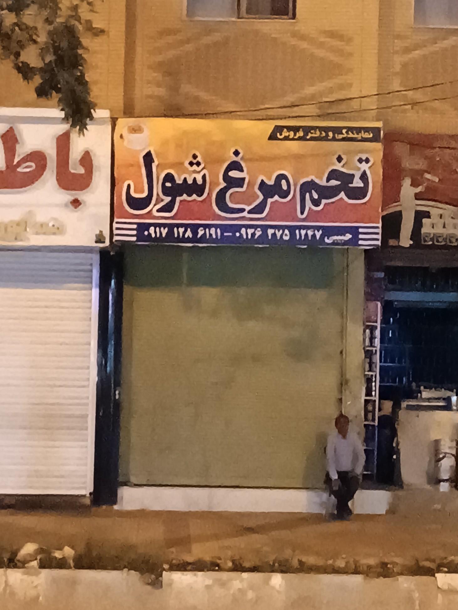 عکس فروش عمده و جزئی تخم مرغ شول