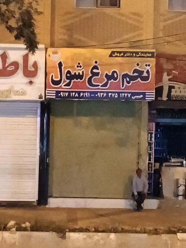 عکس فروش عمده و جزئی تخم مرغ شول