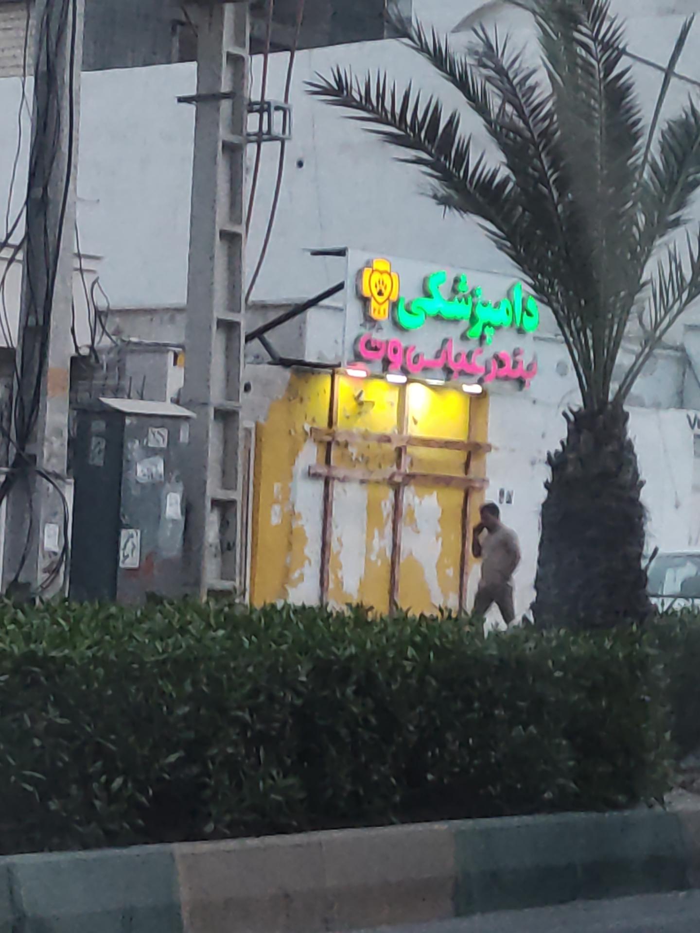 عکس دامپزشکی بندرعباس  وت