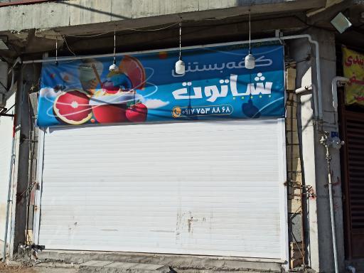 عکس آبمیوه و بستنی شاتوت