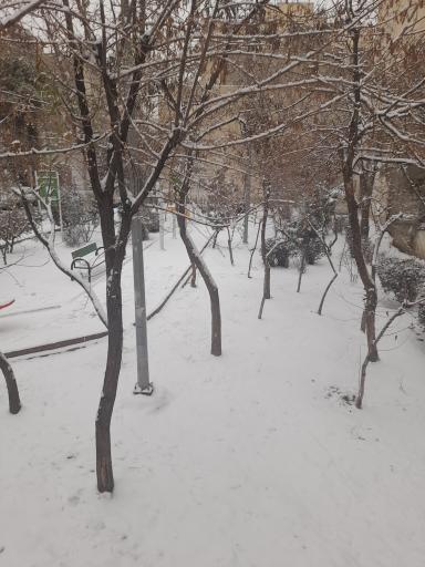 عکس بوستان عمرانی