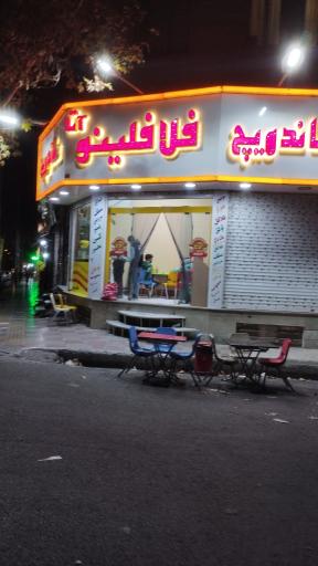 عکس فلافلینو