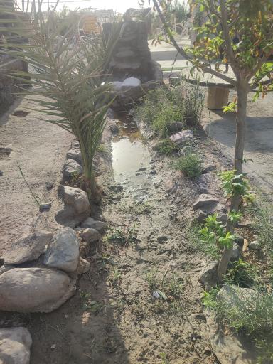 عکس مجموع تفریحی گل گز