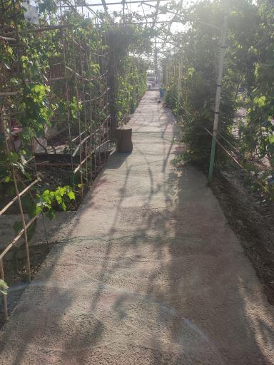 عکس مجموع تفریحی گل گز