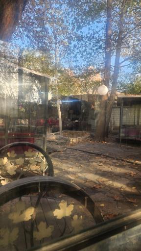 عکس رستوران بیشه