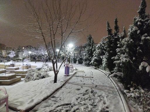 عکس بوستان رهایی