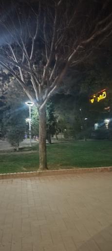 عکس بوستان رهایی