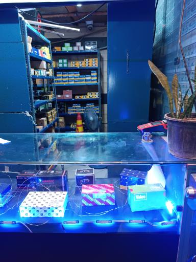 عکس لنت شاهین