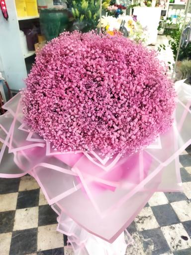 عکس گل فروشی گل گندم