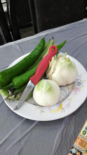 عکس کته کبابی امین حجت