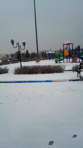 عکس زمین بازی کودکان