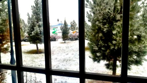 عکس زمین بازی کودکان