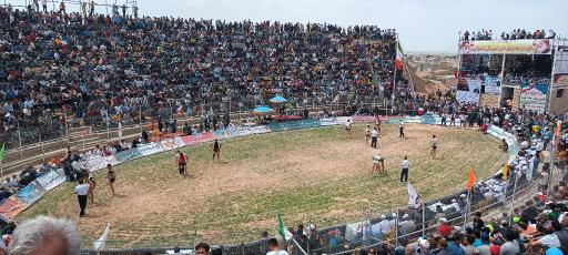 عکس گودکشتی با چوخه زینل خان