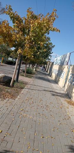 عکس پارک خطی
