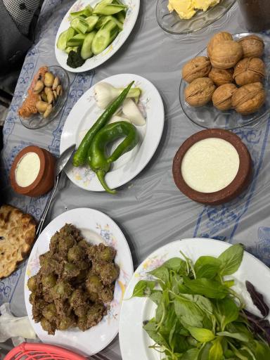 عکس کته کبابی امین حجت