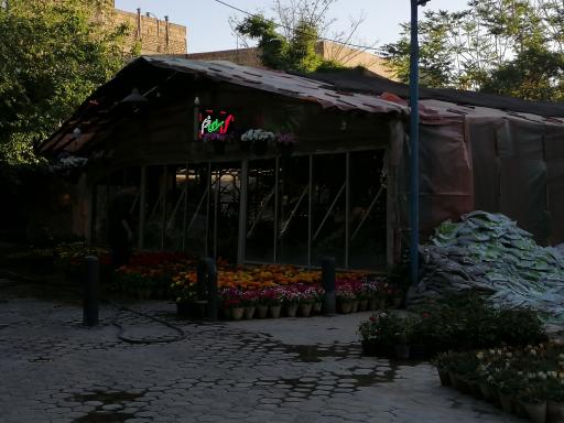 عکس گل فروشی خرم