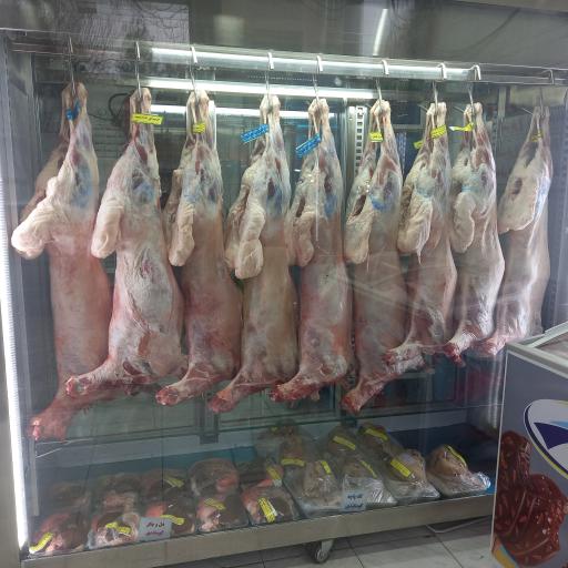 عکس سوپر پروتئین زارعی