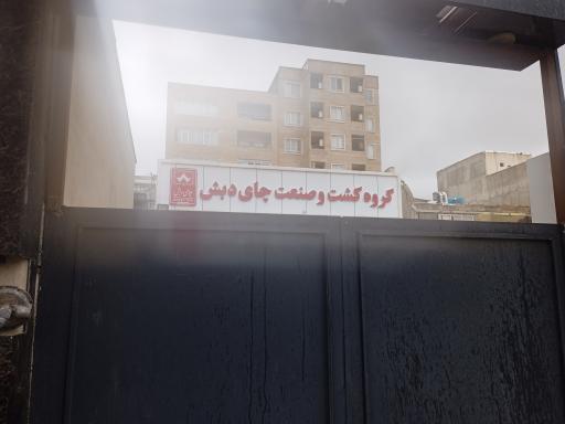 عکس شرکت چای دبش