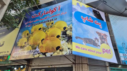 عکس پت شاپ و مرکز تخصصی آکواریوم