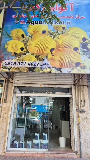 عکس پت شاپ و مرکز تخصصی آکواریوم